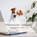 Pinterest für Anfänger