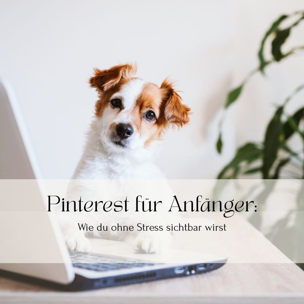 Pinterest für Anfänger